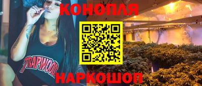 круглые Камышлов