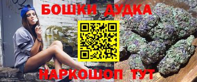 стафф Кандалакша
