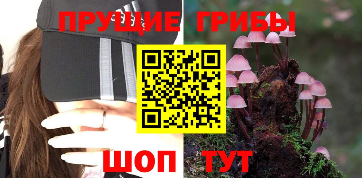 Псилоцибиновые грибы MAGIC MUSHROOMS Южно-Сахалинск